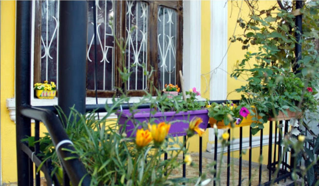 Colors Hostel Tbilisi ภายนอก รูปภาพ