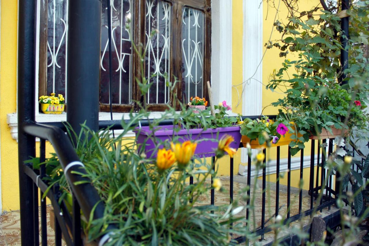Colors Hostel Tbilisi ภายนอก รูปภาพ