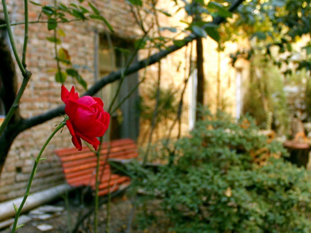Colors Hostel Tbilisi ภายนอก รูปภาพ